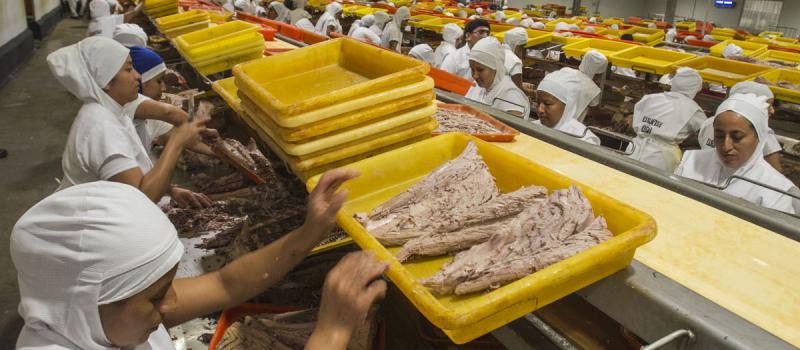 Eurofish integra el grupo de Tunacons y es una las principales exportadoras de atún. La planta está instalada en Manta y tiene una capacidad de producción de 185 toneladas por día. Foto: Enrique Pesantes / LÍDERES