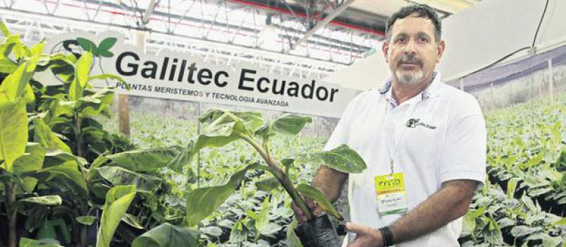 Ishai Socolovski, gerente de Galiltec Ecuador, muestra las plantas. Fotos: Enrique Pesantes/ LÍDERES
