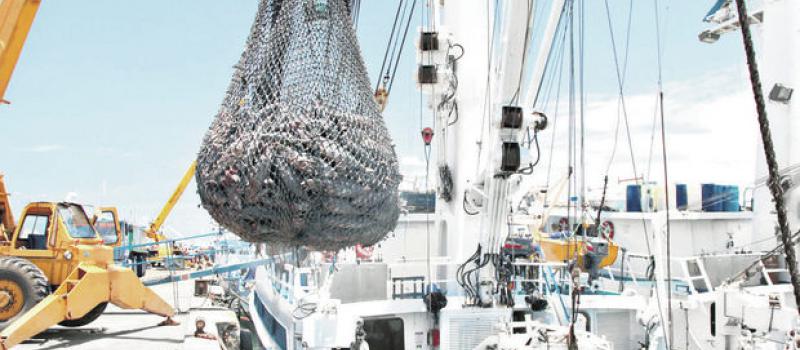 El atún es uno de los productos que se exportan a  la región. Archivo / LÍDERES