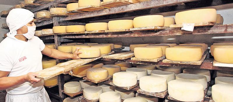 Un 80% de la producción de la planta de Zulac, ubicada en la provincia de  Imbabura, se destina a elaborar quesos semimaduros. También producen queso fresco y maduro. Foto: José Mafla/ LÍDERES.