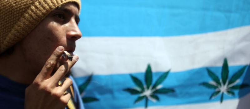 Las 11 empresas que se presentaron para plantar y proveer marihuana en Uruguay todavía carecen de determinados documentos para finalizar el proceso. Foto: Diego Pallero/ El Comercio