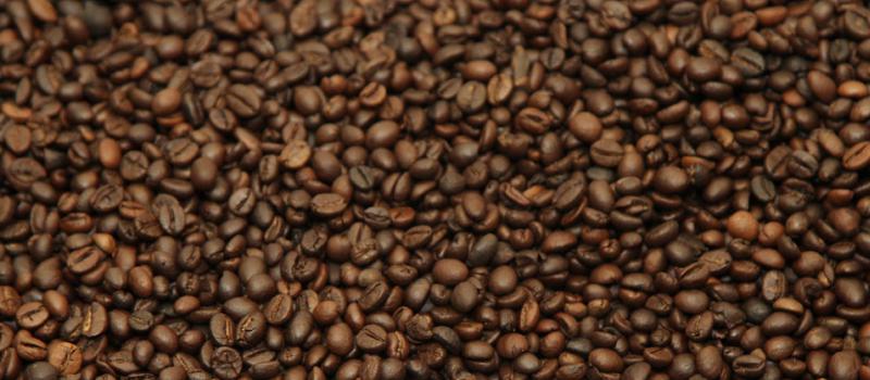 El café ecuatoriano es exportado a Argentina. Foto: EL COMERCIO