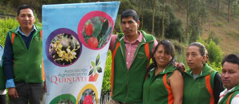 Mirian Pilaguano y Jorge Sanipatín, directivos de Quinlata, trabajan con sus compañeros en el vivero de Patate. Foto: Modesto Moreta / LÍDERES.