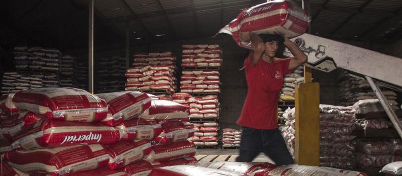 La producción de arroz en los últimos dos años ha presentado una reducción del 9%, debido al contrabando y a la calidad de las semillas. En la imagen se ve la planta de Arroz Imperial. Foto: Cortesía Arroz Imperial
