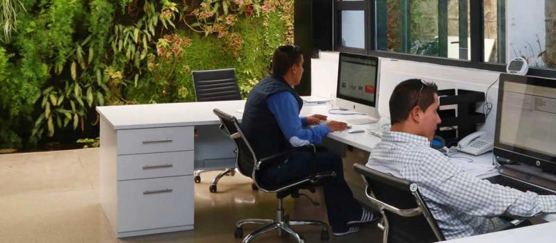 Foto: Diego Pallero / LÍDERES En las oficinas de Enne Arquitectos se observan  jardines y espacios abiertos: Allí los empleados hallan aire fresco y comodidad.