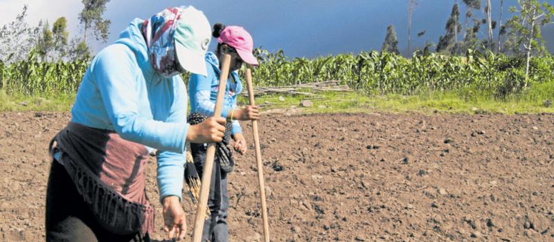 Mujeres de la comunidad de  Pucará, en A. Ante, siembran semillas que pasaron una noche bajo la Luna. Foto: Francisco Flores para LÍDERES