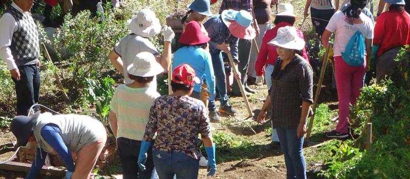 Una imagen de los huertos del programa Agrupar. En estas zonas de cultivo hay productos andinos y se aplican técnicas ancestrales. Los agricultores también pueden tener animales en estos lugares. Foto: Cortesía: Conquito
