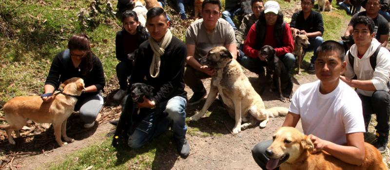 Los estudiantes de la UTC se encargan de pasear a los perros por los caminos de la parroquia Joseguango Alto. Foto: Glenda Giacometti /  LÍDERES