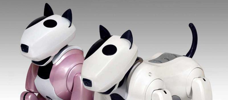 Aibo robot japones de Sony. Foto: Archivo