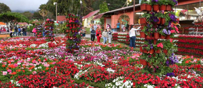 El miércoles 24 de enero de 2018, los jardines de la 46 edición de la Feria Internacional de las Flores y el Café en la ciudad de Panamá (Panamá). Foto: EFE