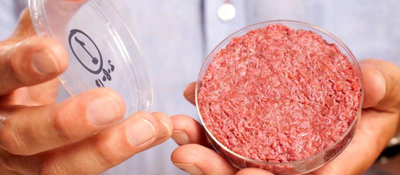 Fotografía de una muestra de la carne obtenida con células de vacuno por la empresa holandesa Mosa Meat. Foto: EFE