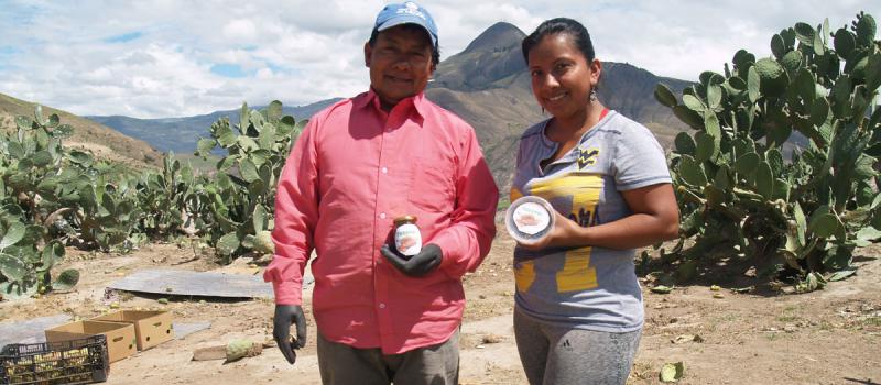 En la comunidad de El Juncal, en Ibarra, José y Leticia Maldonado son dos de los 20 integrantes de Asociación de Productores Agrícolas Mirador. Foto: José Luis Rosales / LÍDERES