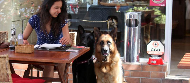 Servicios  Restaurantes y  cafeterías top  reciben mascotas en sus instalaciones y buscan que sus  comensales disfruten del ambiente al 100%