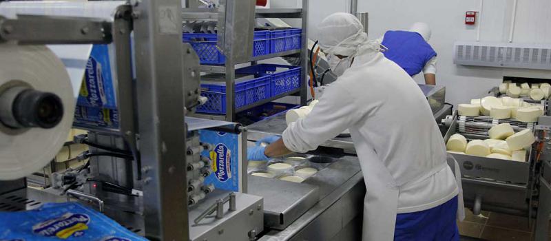 Los directivos de la empresa aseguran que también han logrado eficiencia en el proceso de empaque de los quesos y cremas. Foto: Patricio Terán / LÍDERES