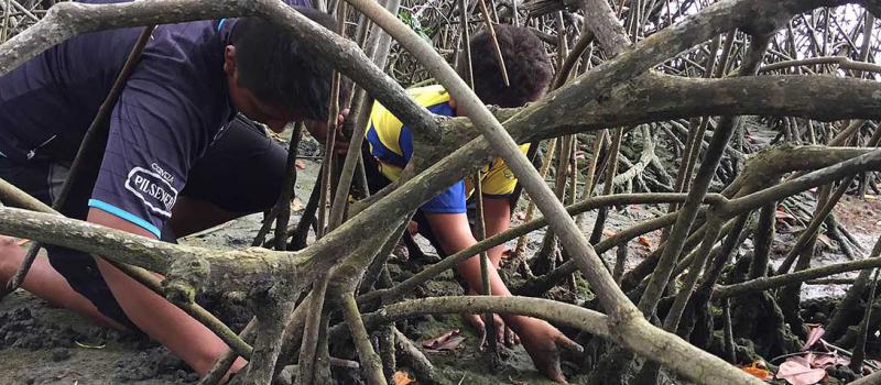 Hasta el año pasado, alrededor de 65 000 hectáreas de manglar estaban concesionadas a comunidades. Foto: archivo / LÍDERES