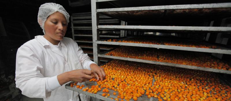 La comercializadora y exportadora de uvillas Golden Sweet Spirit ofrece sus productos al mercado local, en medio de la pandemia