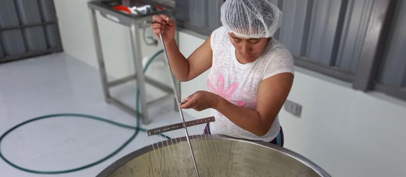 En la hacienda El Tejar se pone especial cuidado en la preparación de quesos frescos. Luego se realizarán maduros. Foto: cortesía El Tejar