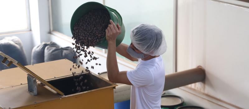 Las exportaciones de cacao del país crecieron el año pasado debido a la inversión que se realizó en el sector y a la calidad del producto ecuatoriano. Hay más demanda internacional. Foto: Archivo / LÍDERES