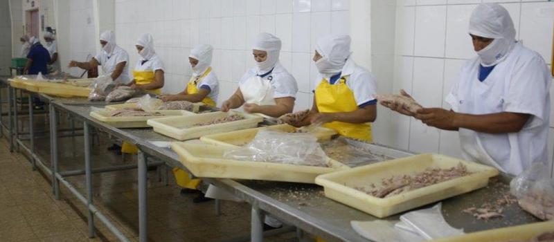 En la provincia de Manabí se concentra el 60% de las plantas que procesan atún en el mercado ecuatoriano. Las demás industrias del sector se encuentran entre Santa Elena y Guayas. Foto: Cortesía CEIPA