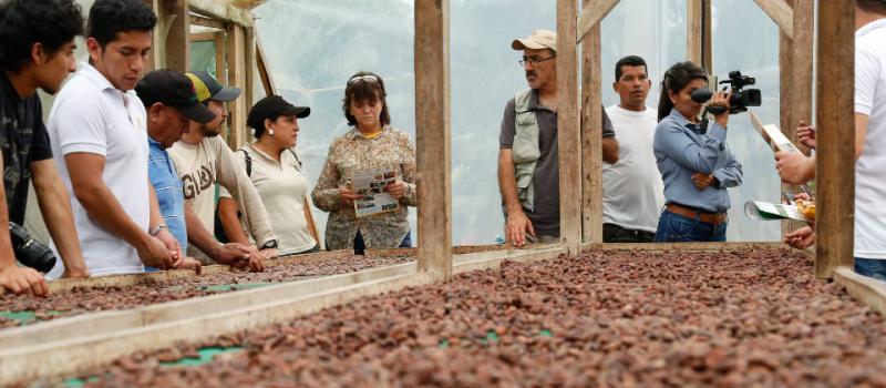 El cacao es uno de los principales productos ecuatorianos que se exportan al mercado mexicano. Foto: Archivo / LÍDERES.