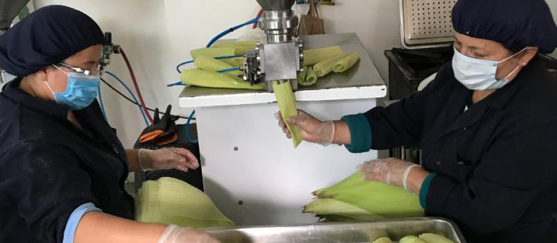 Las humitas se preparan en la fábrica, que funciona en Quito con el choclo que se adquiere a los agricultores del cantón Catamayo, en Loja. Foto: Cortesía: Del Valle Lojano SL