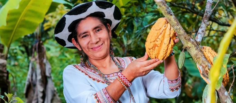 Nicka produce cuatro productos: pasta de cacao, chocolate semi amargo, chocolate dulce y bombones de chocolate rellenos de maracuyá.