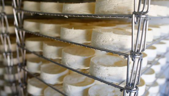 Una imagen de los quesos Camembert en un centro de producción en la región de Normandía,  en Francia.