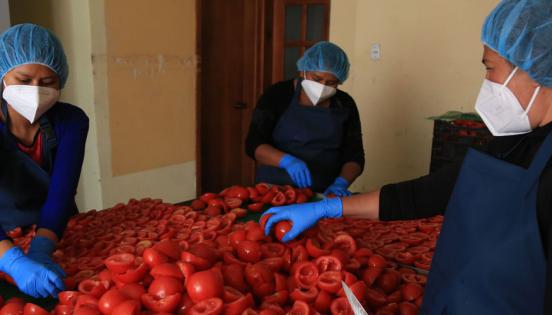 En la planta de la Mitad del Mundo, las trabajadoras se encargan del procesamiento de tomates en aceite de oliva, el producto estrella del negocio. Fotos: Diego Pallero y Vicente Costales