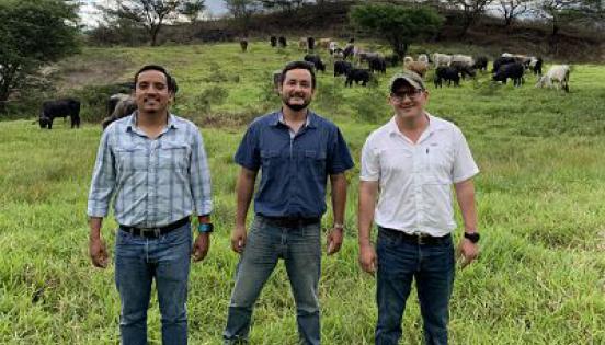 Lenín Erazo, Juan Manuel Palacios y Marco Dávila, cofundadores de Subastapp. La firma opera en Machala y ofrece servicios a todo el país. Foto: Cortesía