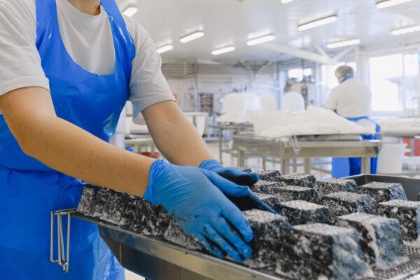 Un tercio de la producción láctea se dedica al queso
