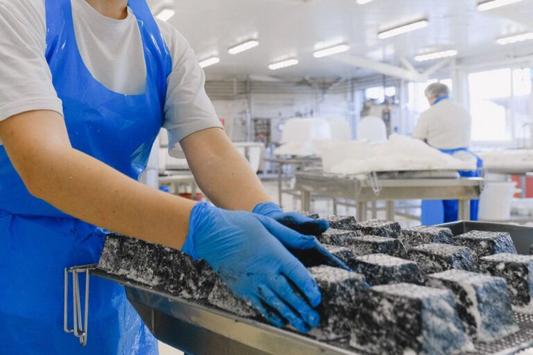 Un tercio de la producción láctea se dedica al queso