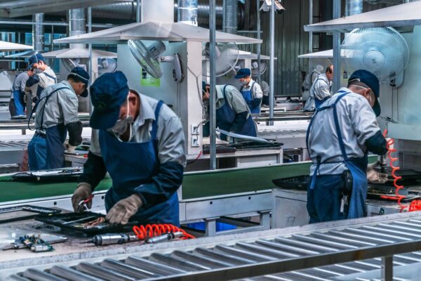 El memo de la semana: Trabajo y emprendimiento