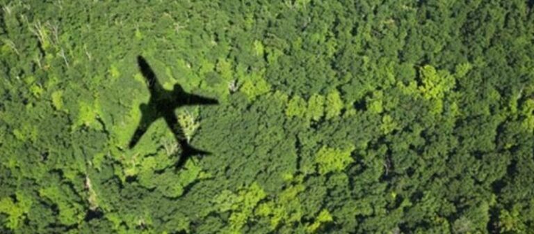Pasajeros pueden aportar y salvar el medioambiente
