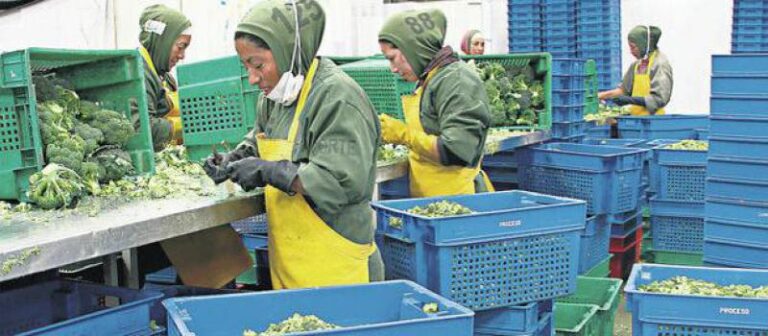 Nova alimentos quiere conquistar el mundo con su producto estrella
